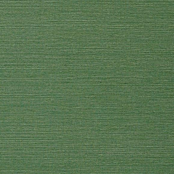Обои Thibaut T75154 Taluk Sisal Green