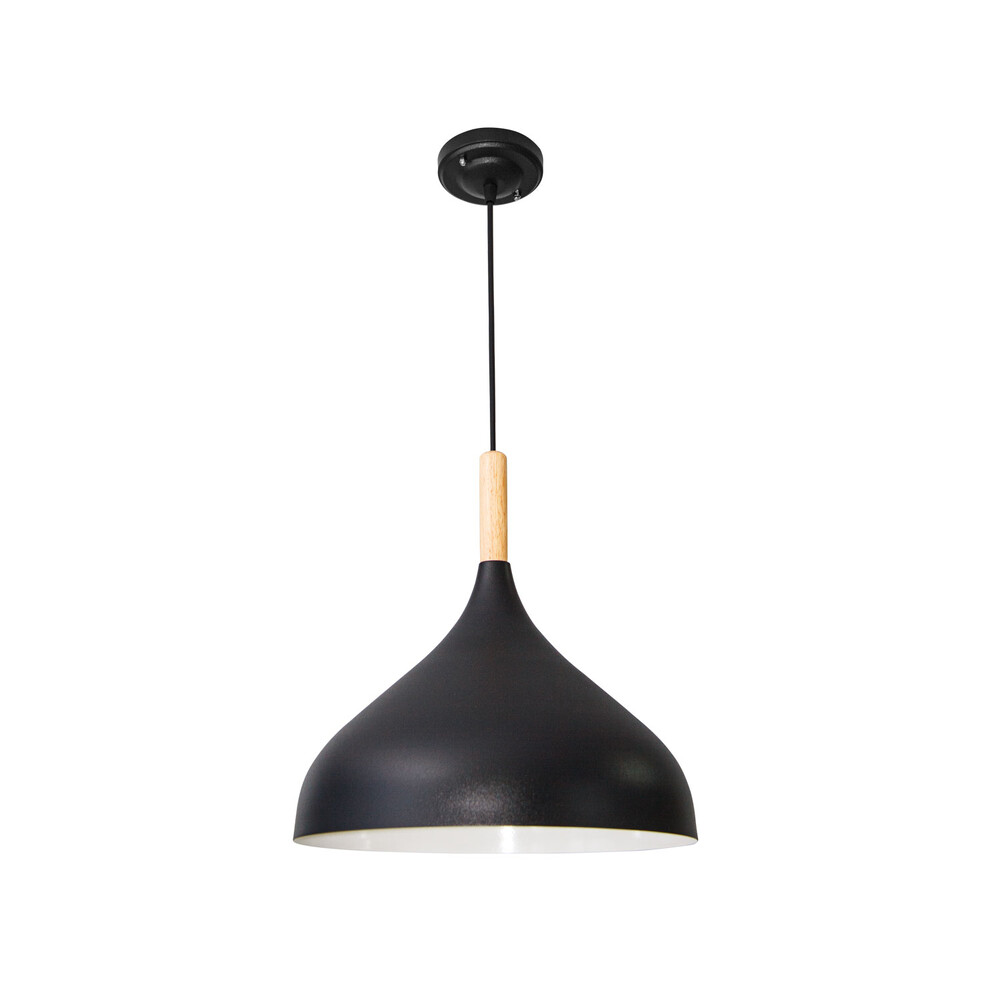 Подвесной светильник Arte Lamp Kayla A7101SP-1BK