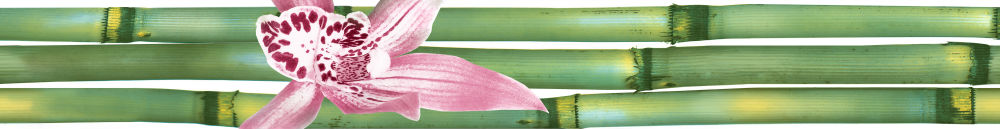 Бордюр Canas De Bambu Listwa A