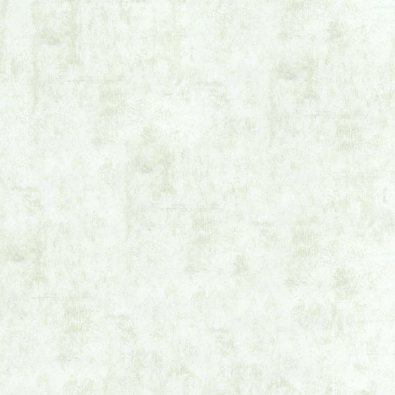 B1181104