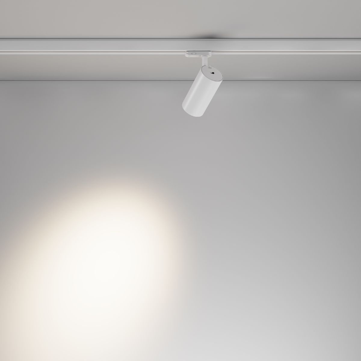 Трековый трехфазный светильник Maytoni Focus Led TR197-3-20WCCT-M-W