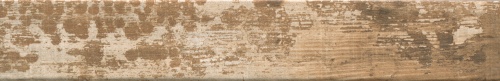 Kentucky Pine 1056583