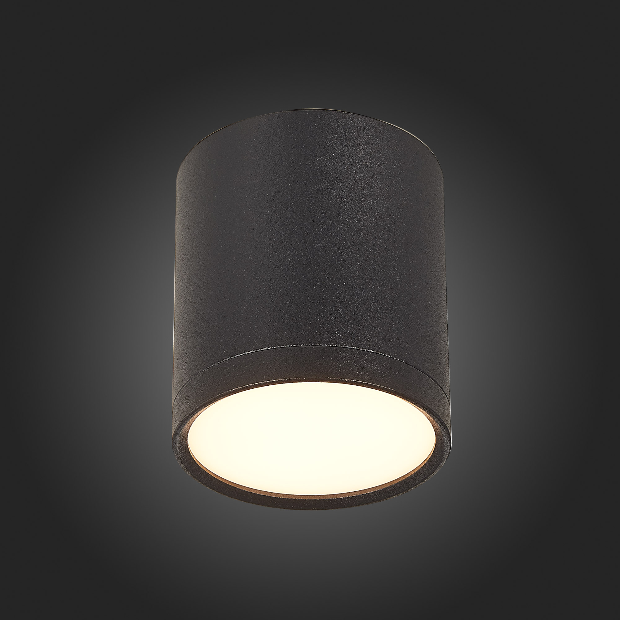Потолочный светильник ST Luce Rene ST113.432.05