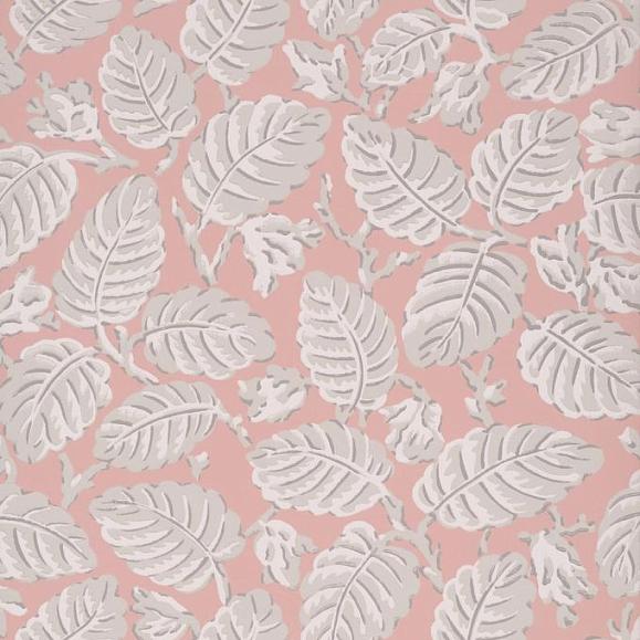 Обои Little Greene 0260BEDELIC Beech Nut Delicate