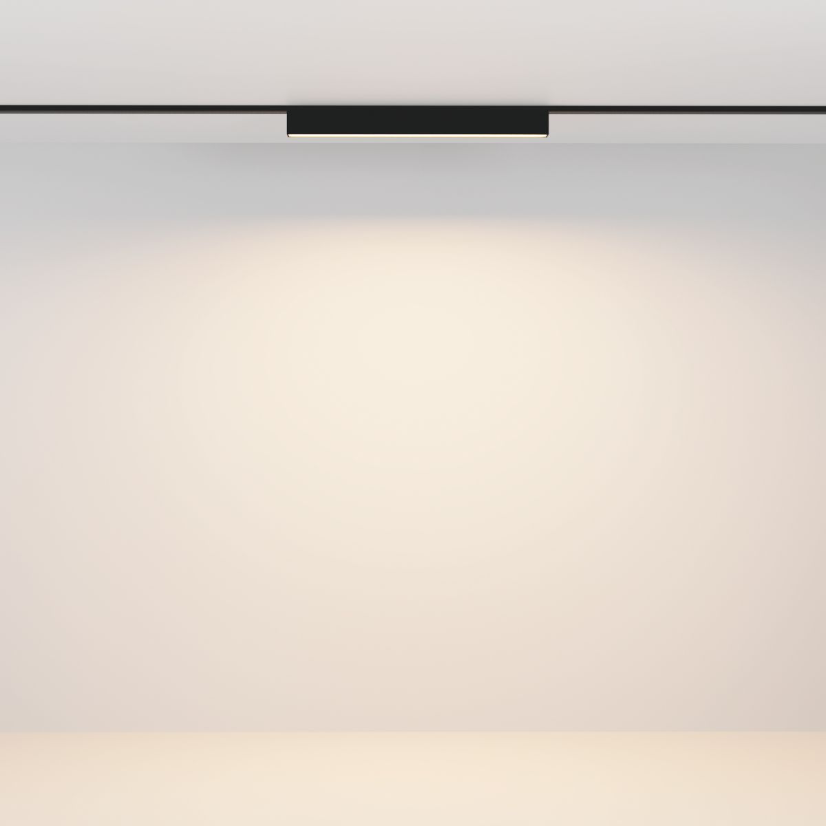 Трековый магнитный светильник Maytoni Technical Basis Radity TR080-4-10WTW-B