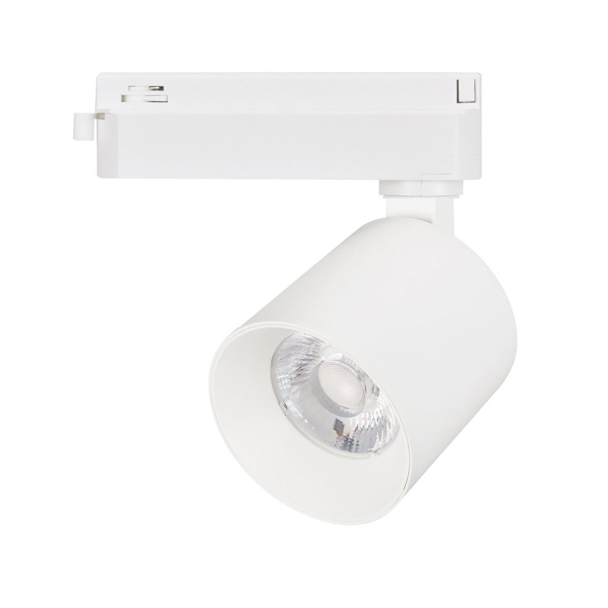 Трековый однофазный светильник Arlight LGD-DYKE-2TR-R75-16W Day4000 (WH, 50 deg, 230V) 052263