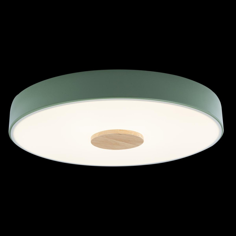 Потолочный светильник Loft IT AXEL 10003/24 Green
