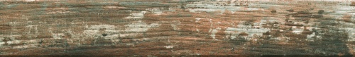 Kentucky Pine 1058459