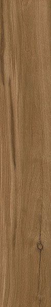 LOIRE UMBER