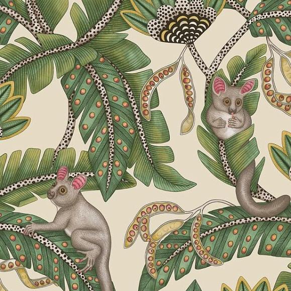 Обои Cole & Son 119/7035 Bush Baby