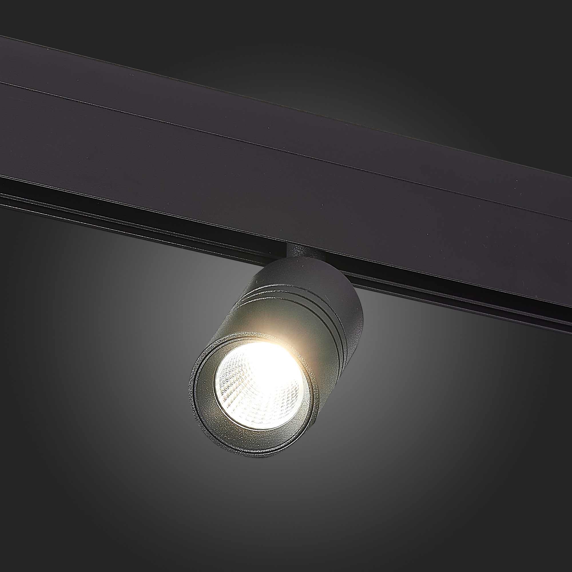 Трековый светильник ST Luce Lemmi ST365.436.07