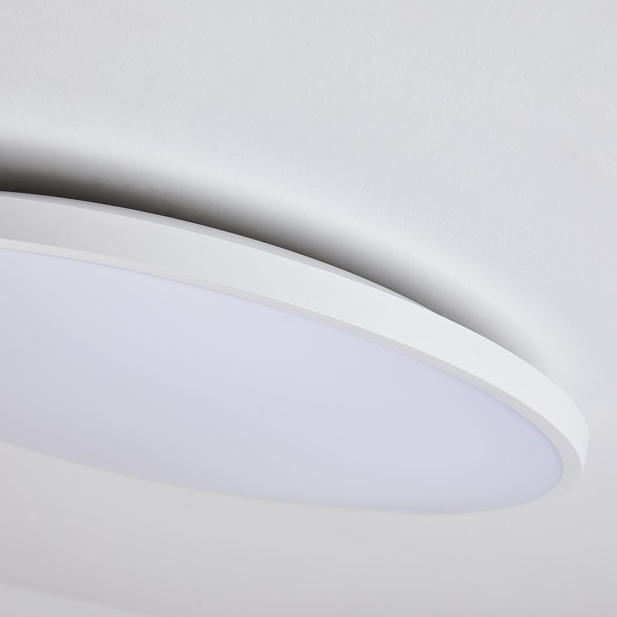Настенно-потолочный светильник Lightstar Arco Eco 225730