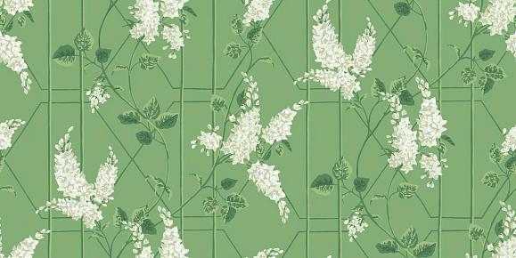 Обои Cole & Son 115/5016 Wisteria