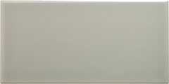 Liso PB Silver Mist 10x20 ADNE1094