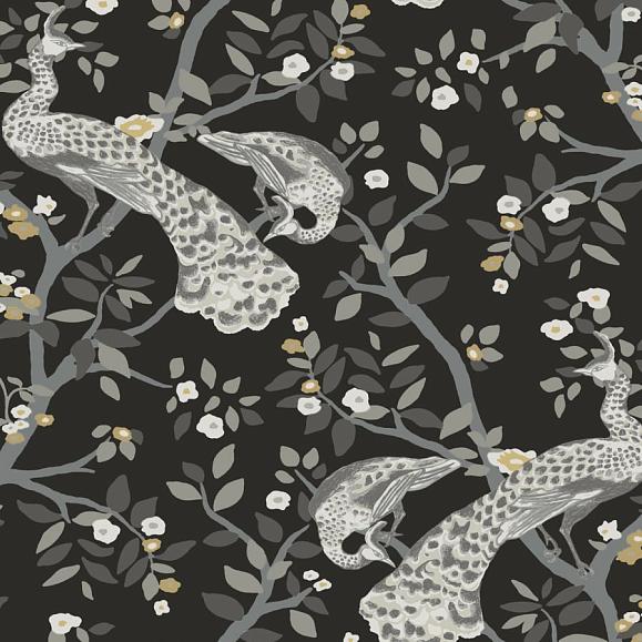 Обои York BW3802 Plume Black/Gold