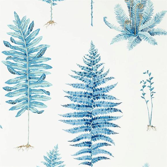 Обои Sanderson 216635 Fernery China Blue