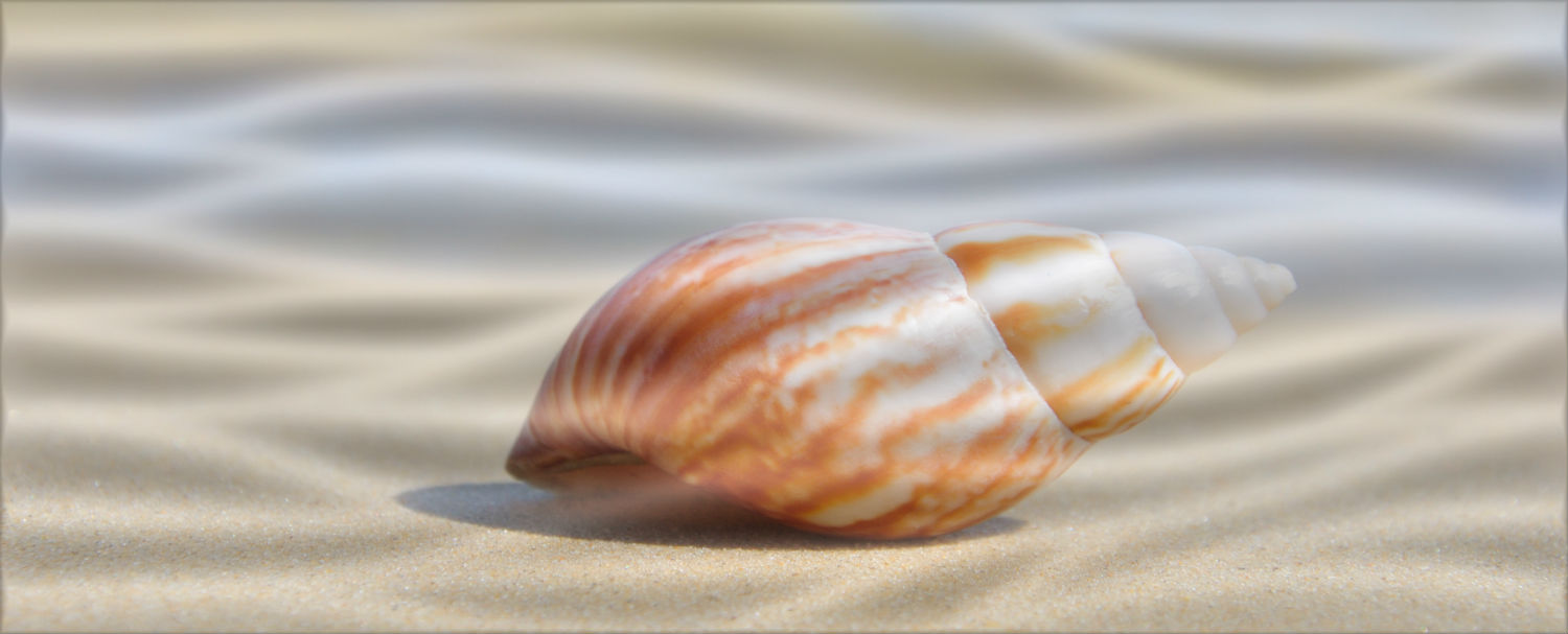 Декор Playa A Centro Wave