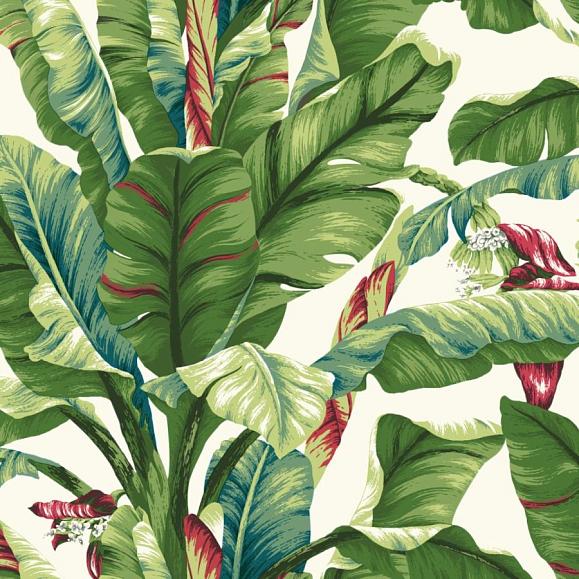 Обои York AT7068 Banana Leaf White/Primary