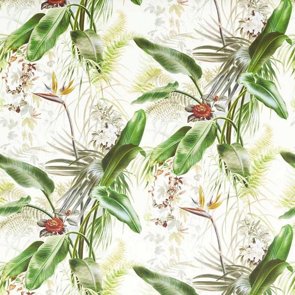 Обои Zoffany 312989 Paradise Row Evergreen