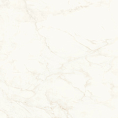 ATLAS CONCORDE MARVEL SHINE Calacatta Delicato Polished