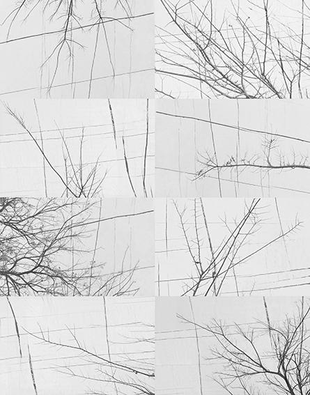 Панно Wall & Deco WDBH1701 Bois D'Hiver