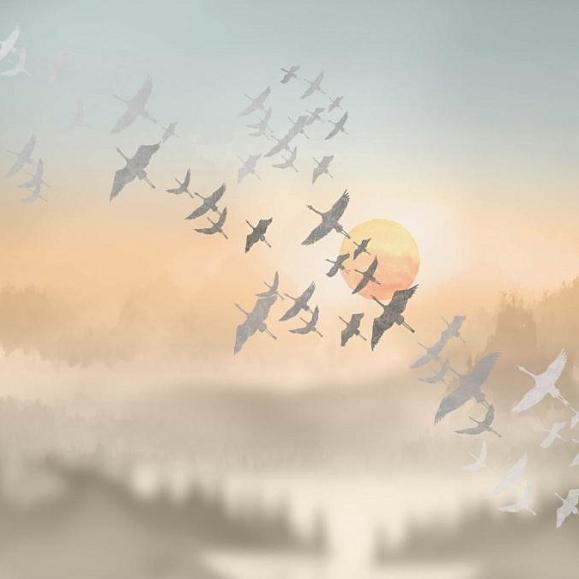 Панно Affresco ZK444-COL3 Color 3