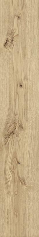 Exence Vanilla 20x120