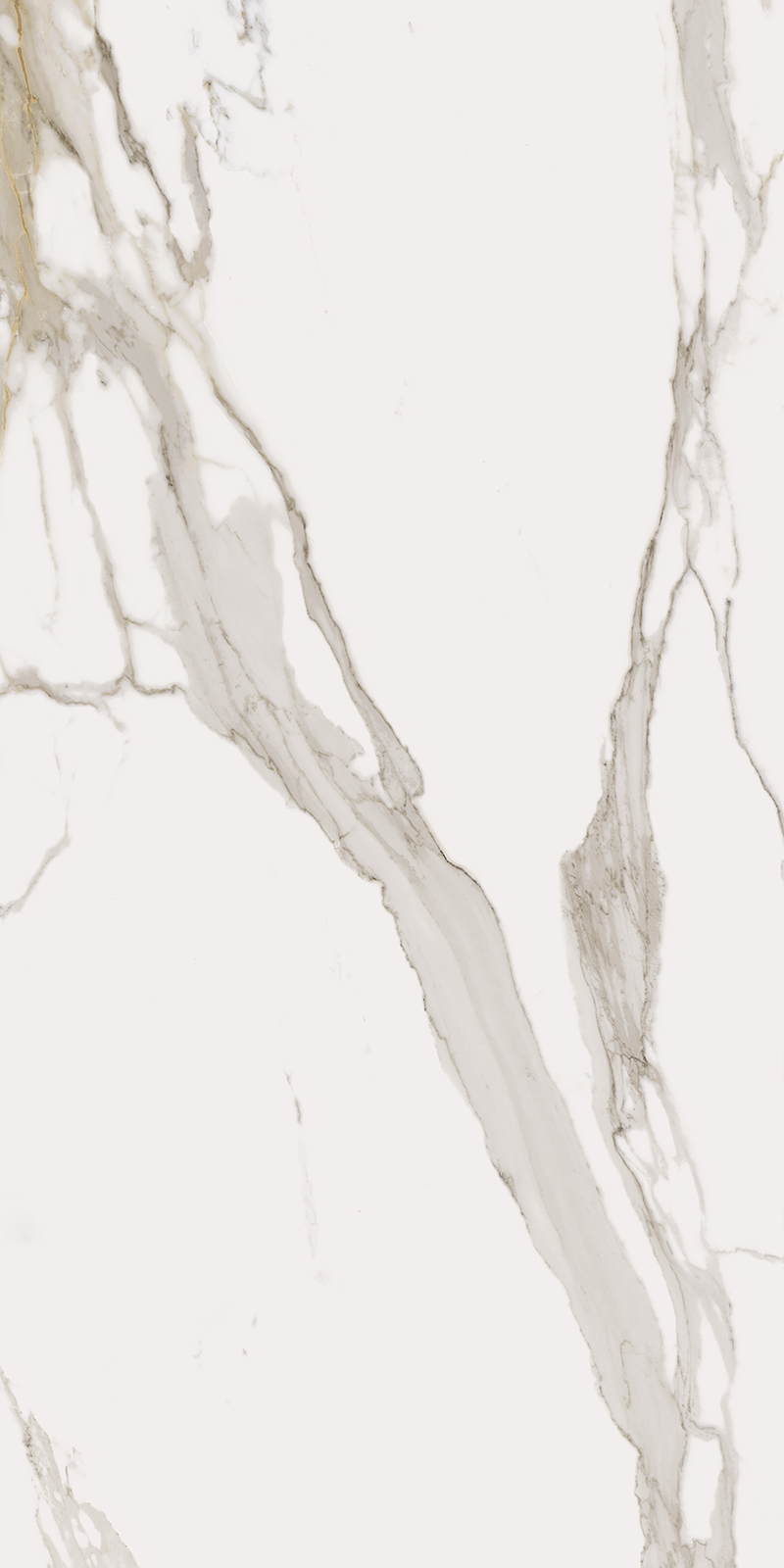 CHA.EVO CALACATTA 80X160 RET