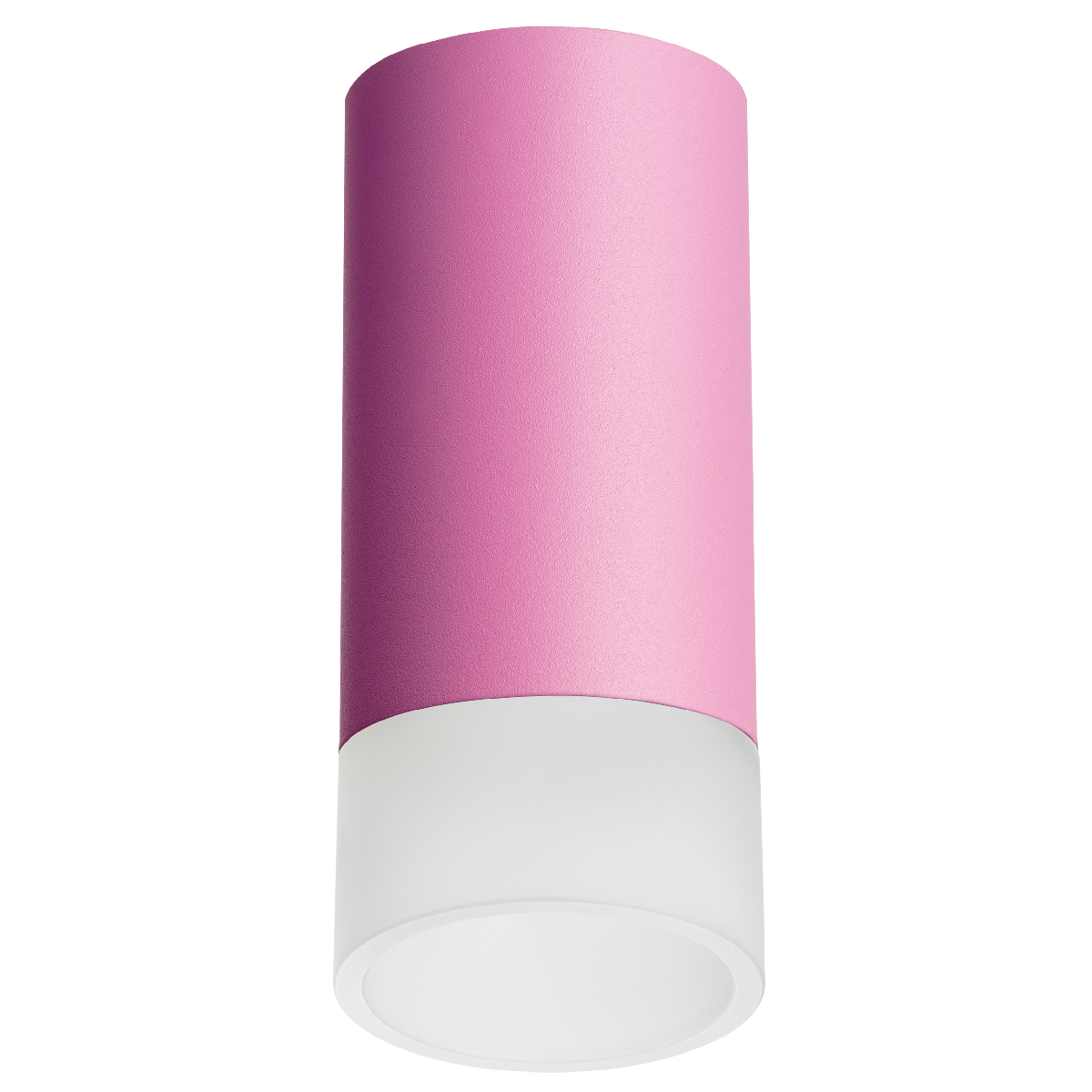 Накладной светильник Lightstar Rullo R43231 (214432+202431)
