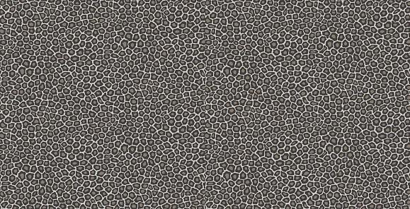 Обои Cole & Son 109/6031 Senzo Spot