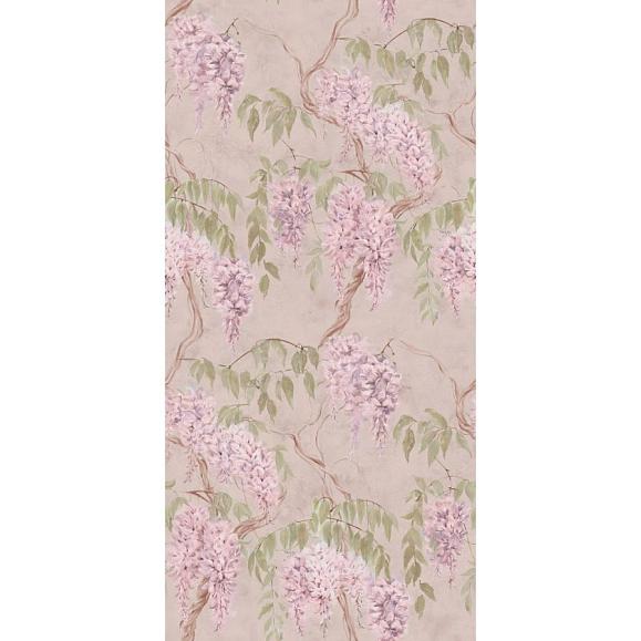 Обои Astratonova ² V-Wist1-01 Wisteria1 Muslin01