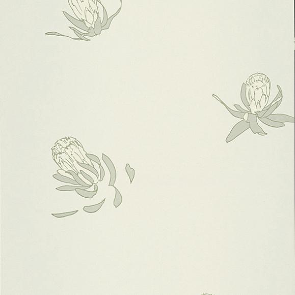 Обои Paint & Paper Library 0393BUHUGOZ Buds Hugo