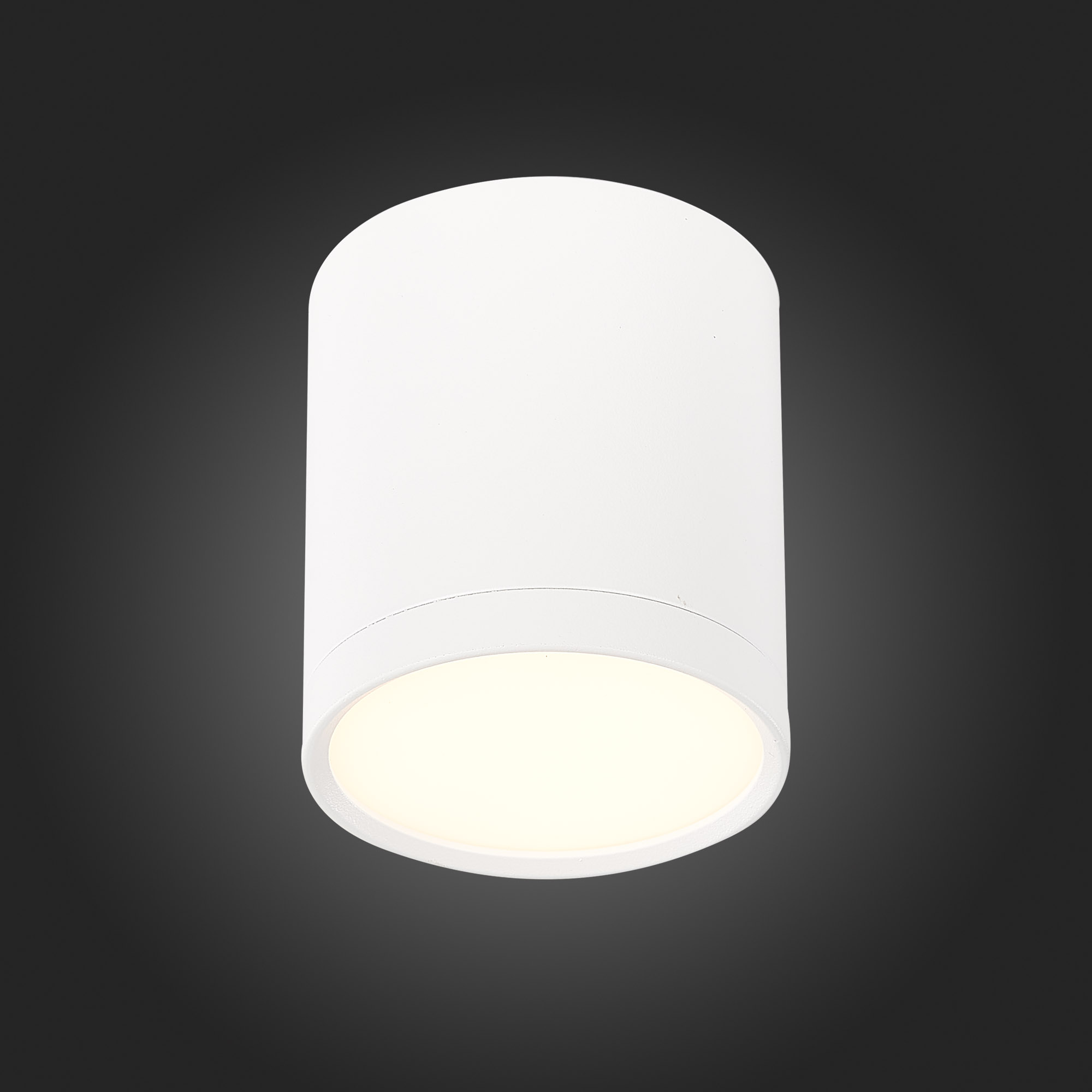 Потолочный светильник ST Luce Rene ST113.532.05
