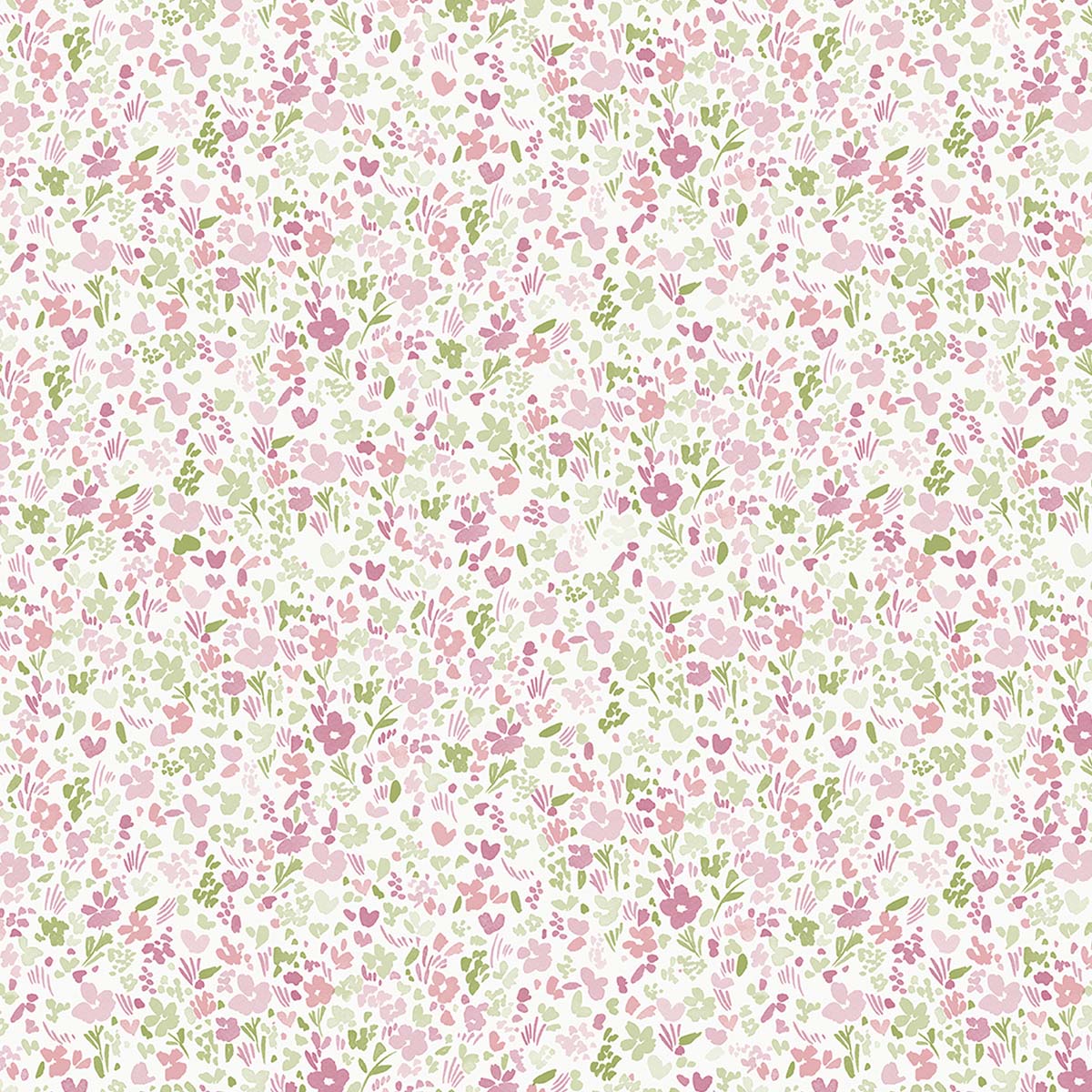 G56669