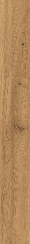 ATLAS CONCORDE LOG Forest Amber Oak 9 mm
