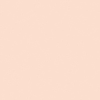 41zero42 PIXEL41 Rose