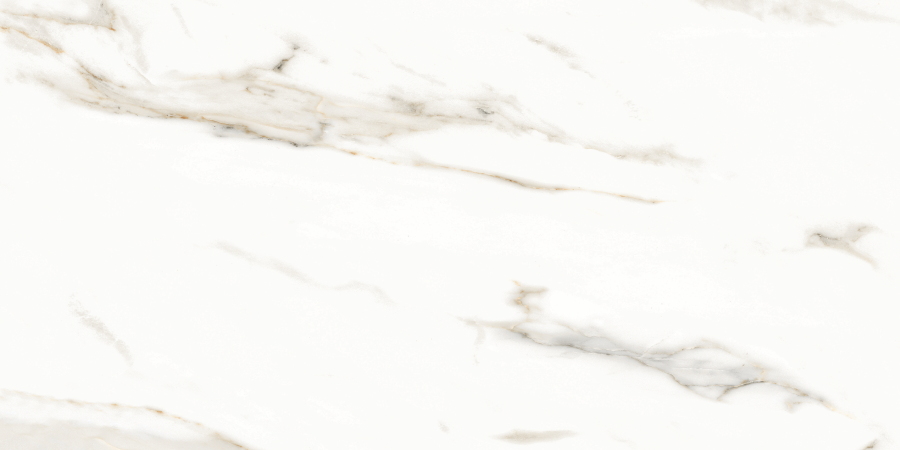 Marmol Carrara Polished N12028