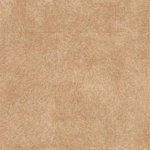 Обои Casadeco LEAT87172110 Western Cannelle