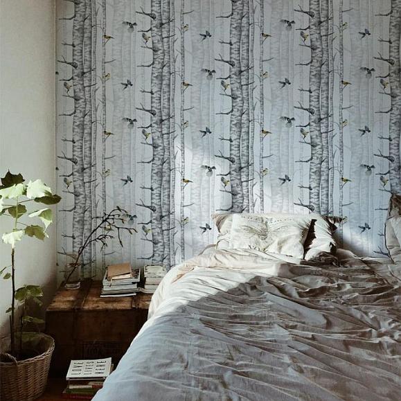 Обои Coordonne 9500040N Birch Trees Grey