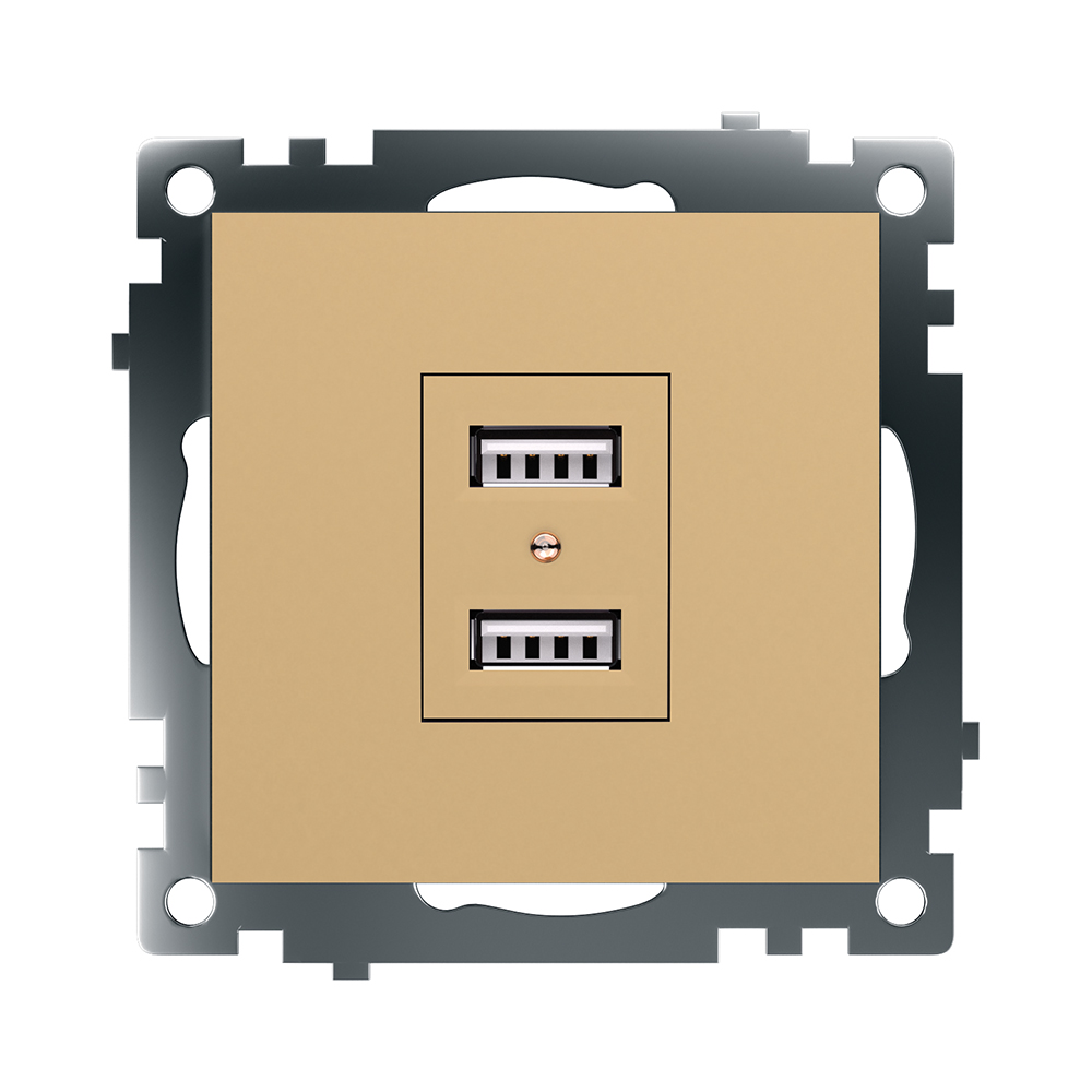 Розетка 2-местная USB Stekker Катрин GLS10-7115-08 49229