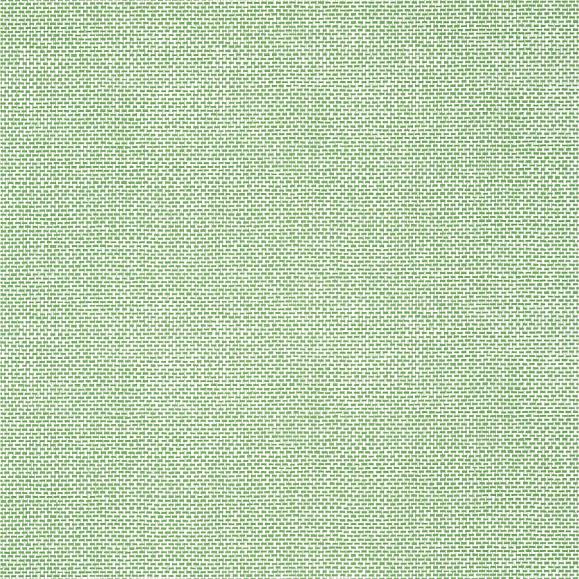 Обои Thibaut T16261 Ralawan Green