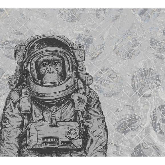 Панно KT-Exclusive 14214 Space Monkey Version 2
