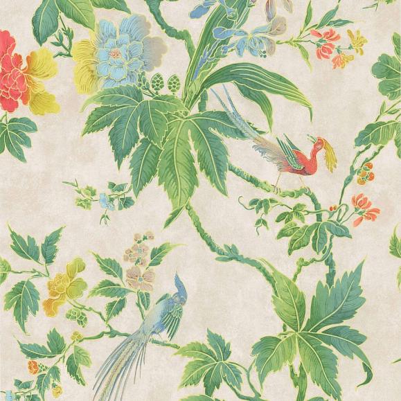 Обои Little Greene 0247PAFEATH Paradise FEATHER