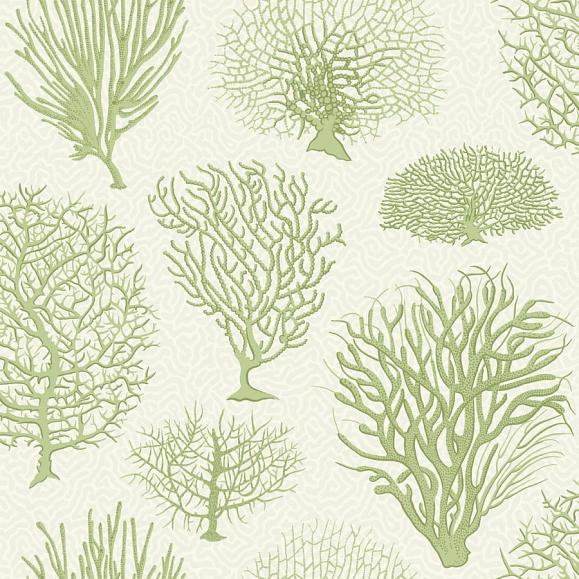 Обои Cole & Son 107/2008 Seafern