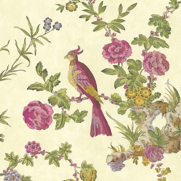 Обои Little Greene 0247DAJEUNE Darwin JEUNE