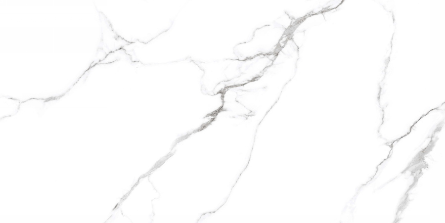 Mckinley Polished CV20304