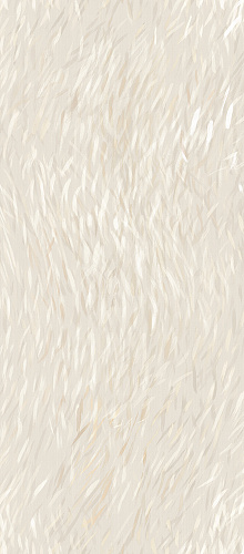 ATLAS CONCORDE VEST Breath 6 mm