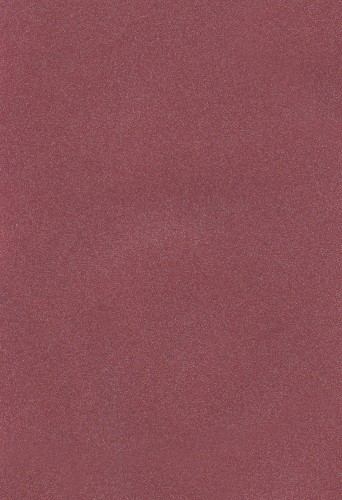 POLISTOF_337