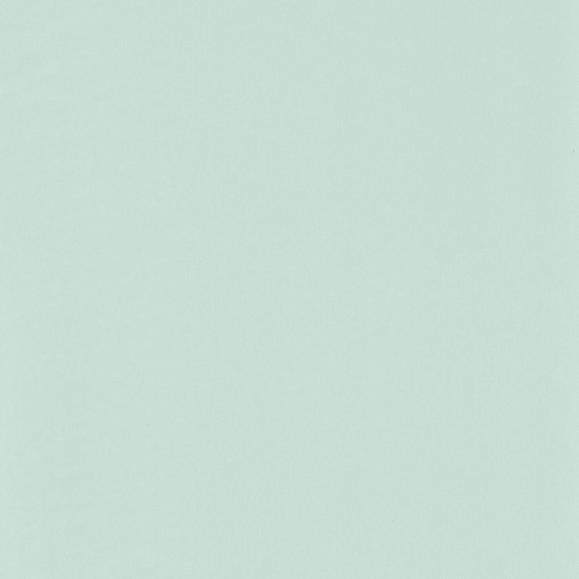 Обои Casadeco RONI69867910 UNI Vert Mint