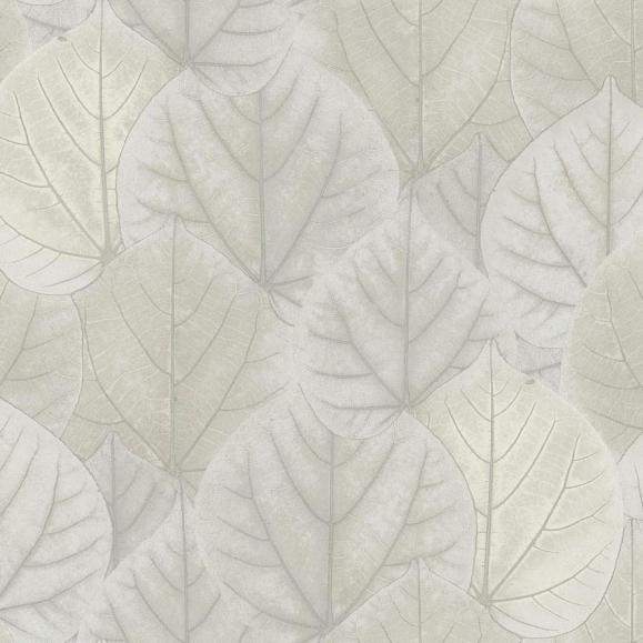 Обои York OS4246 Leaf Concerto Pale Grey